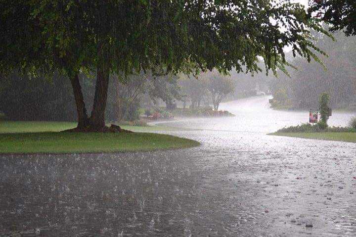 তীব্র তাপদহনের পর স্বস্তির বৃষ্টি