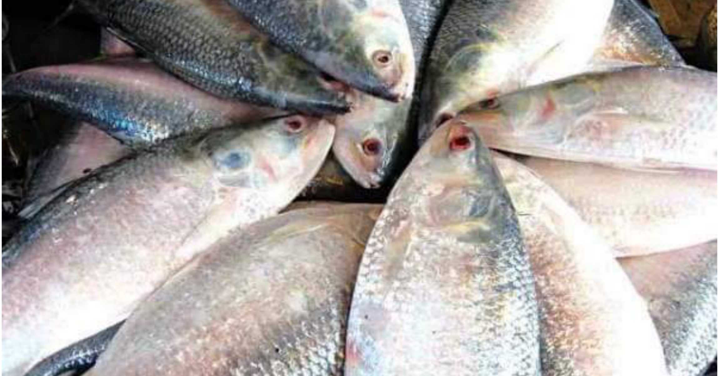 হেরে দিয়া গেছে গিয়া
