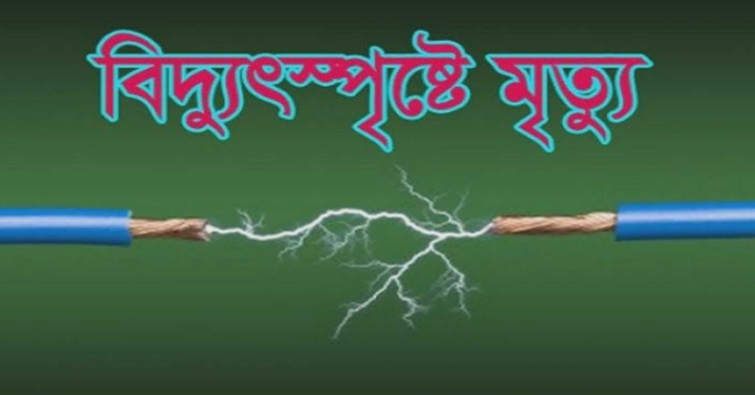 হবিগঞ্জে বিদ্যুৎস্পৃষ্ট হয়ে দু’জনের মৃত্যু
