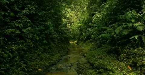 Lasuban GiriKhat: লাসুবন গিরিখাত